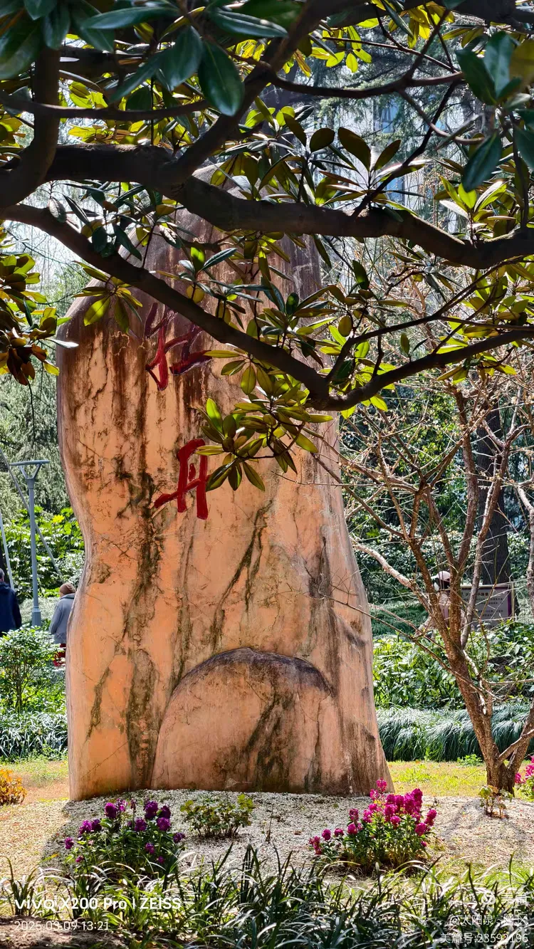 散步寻觅新线路:五原路→→华山绿地4000步x2